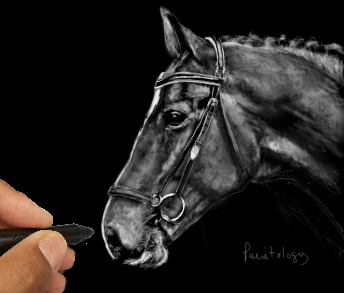 FREE 11+ Horse Drawings in AI