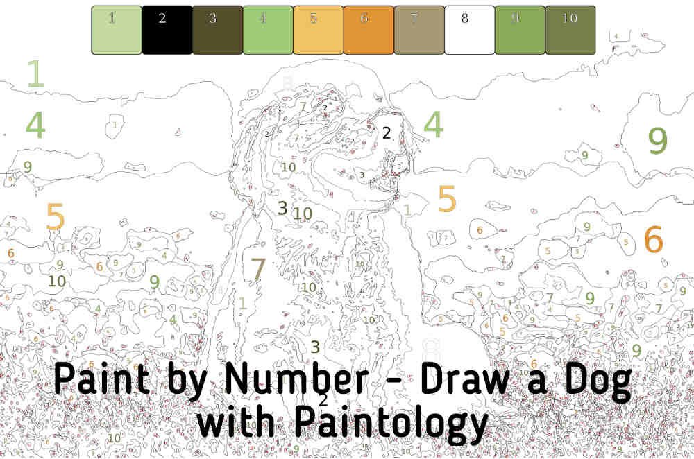 Paint By Number Drawing Of A Dog Level Med Hard Learn Drawing With Paintology Paintology Drawing App Paint By Numbers