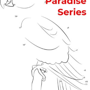 birds of paradise - featured - exotic 2